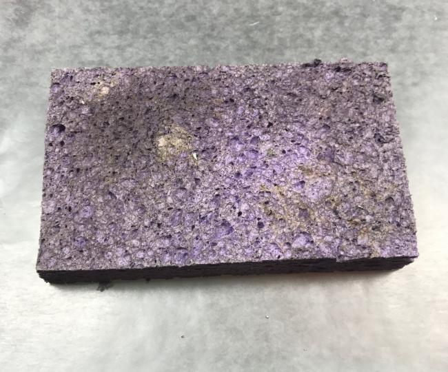 Sponge Sponge