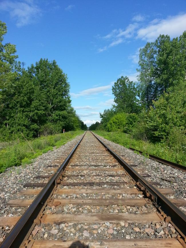 track-rail