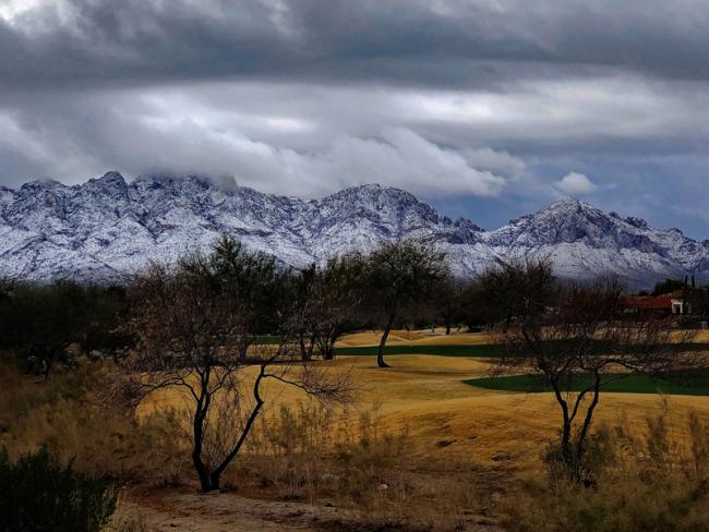 Snow Catalina Mountains Back Yard 2 1.27.2021 B. resize