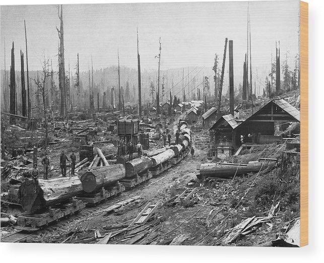 log-tram-and-logging-camp-c-1890-daniel-hagerman