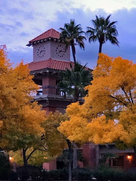 SCOV Arizona Ash _Clock Tower 3 e.r