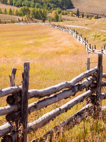 Split_Rail_Fences