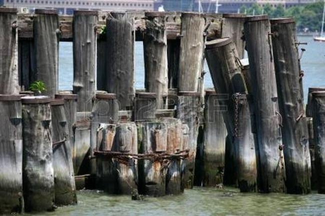 14889940-pilings-in-an-old-unused-pier-on-a-river