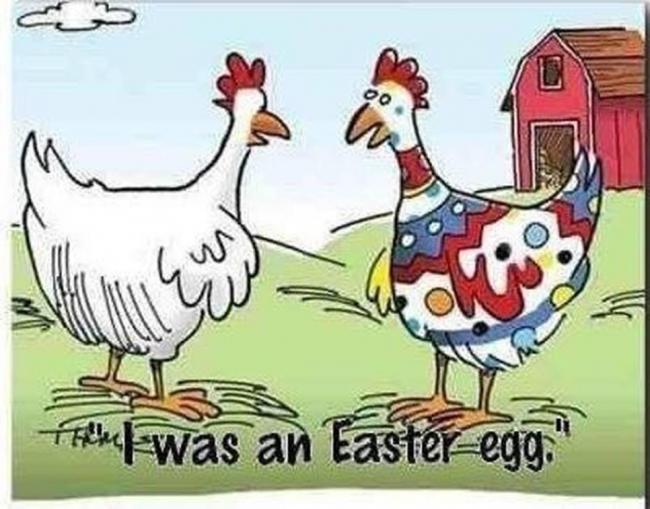 Easter Egg Chicken