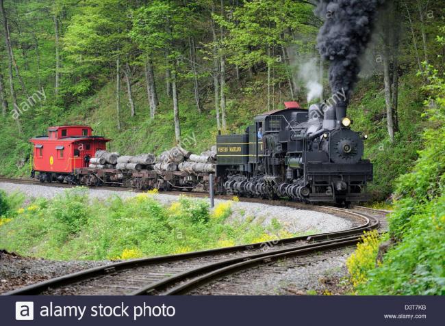 steam-train-hauling-logs-rounding-s-curve-in-the-woods-D3T7KB