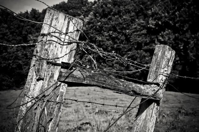 wood-fence-post-pile-fence-weathered-wallpaper-preview