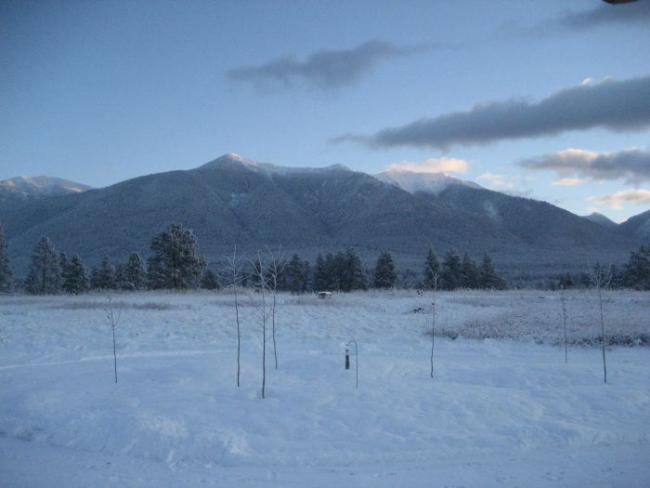 View from front door