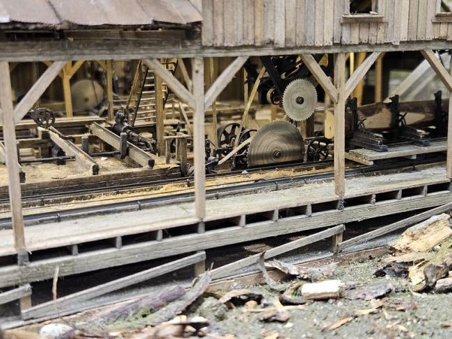 55019957750_9610072da2_c