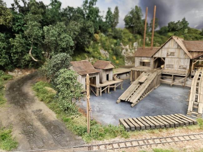 55019641421_37979e6880_c