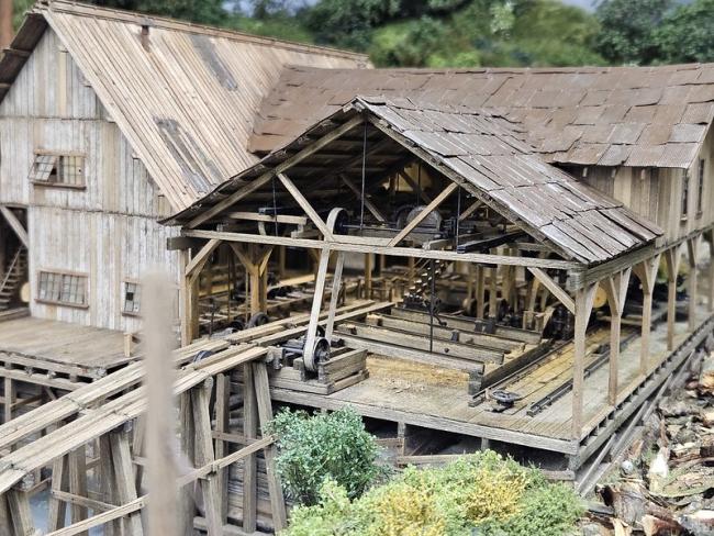 55019957725_f854df9f08_c