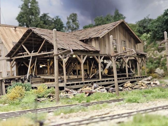 55018760202_fdff856c98_c